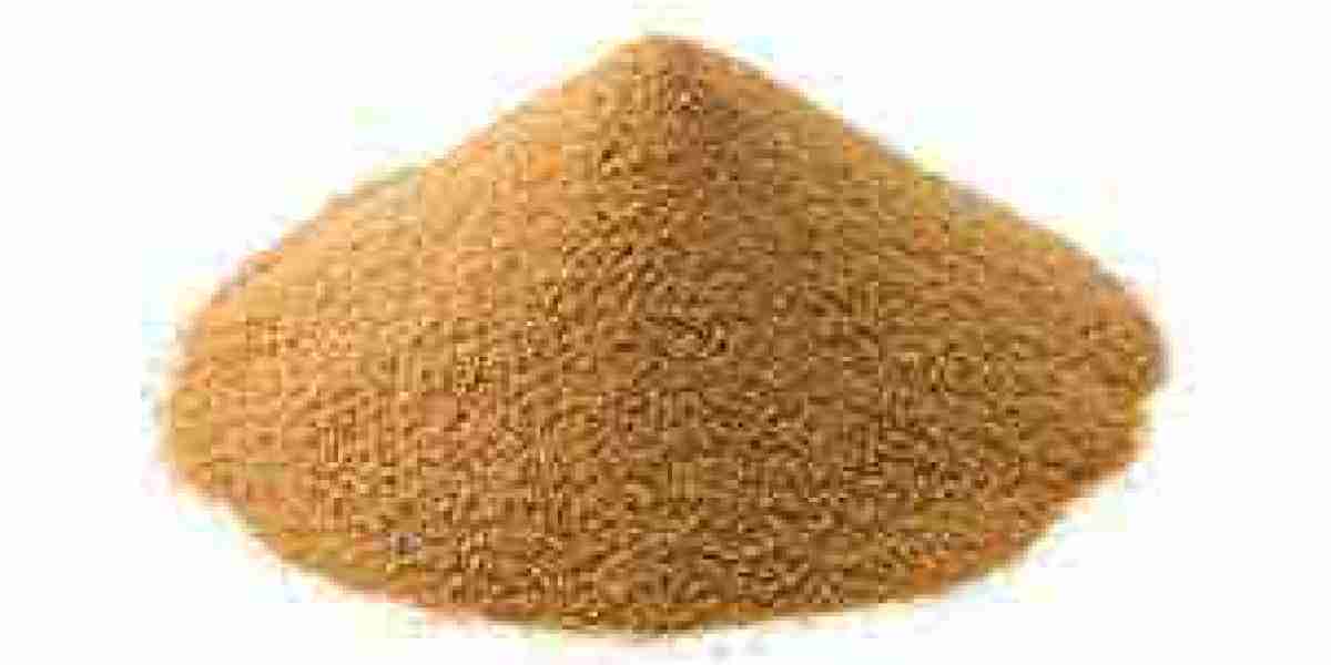 Yeast Nucleotides Market expected to grow in sports and medical nutrition segments