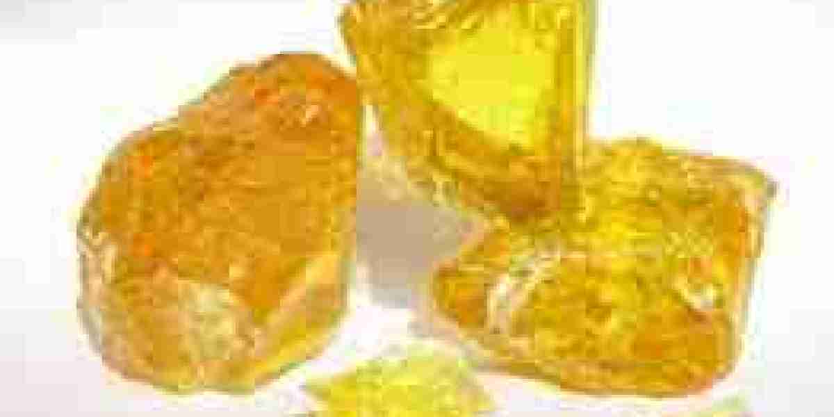 Gum Rosin Market Development: Innovations, Investments, and Global Growth Pathways