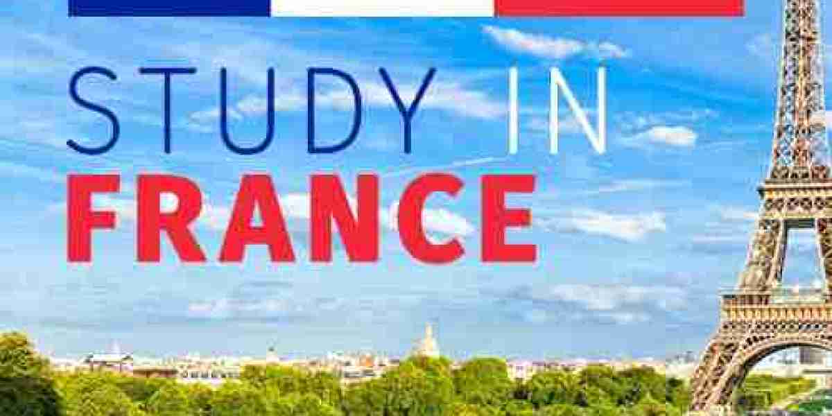 Best Courses to Study in France for a High-Paying Career