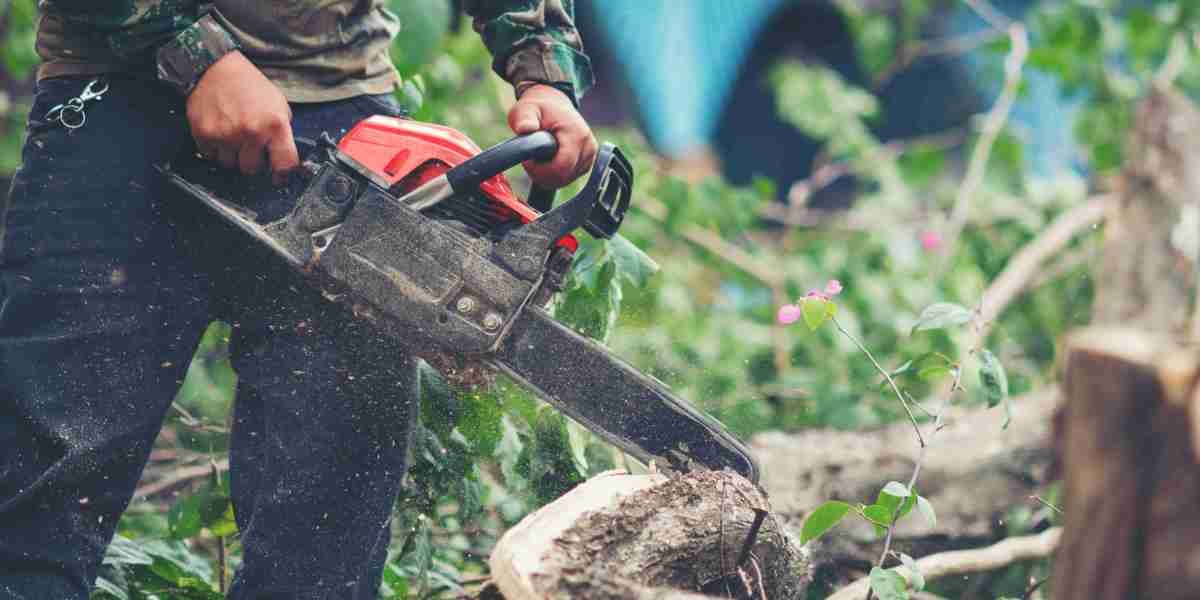 Top 5 Pruning Mistakes You Are Doing That Can Harm Your Trees