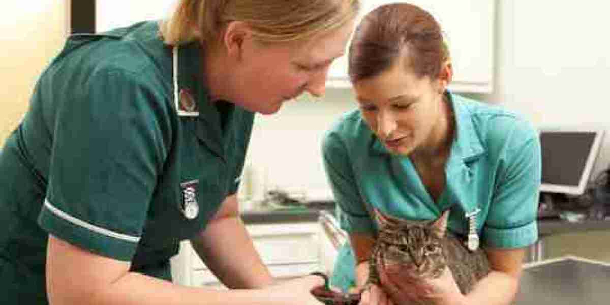 Veterinary Glucometers Market Poised for Expansion Amidst Growing Demand for Companion Animal Care