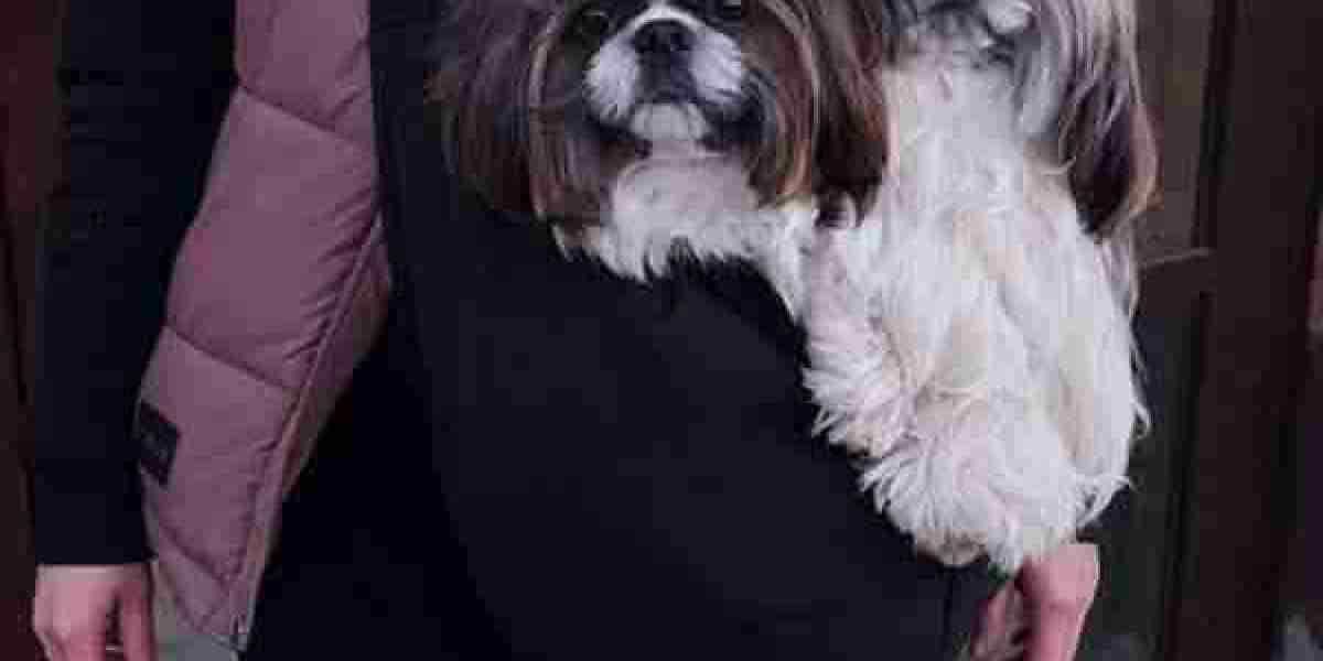 Stylish and Practical: Why Dog Handbags Are a Must-Have for Pet Owners
