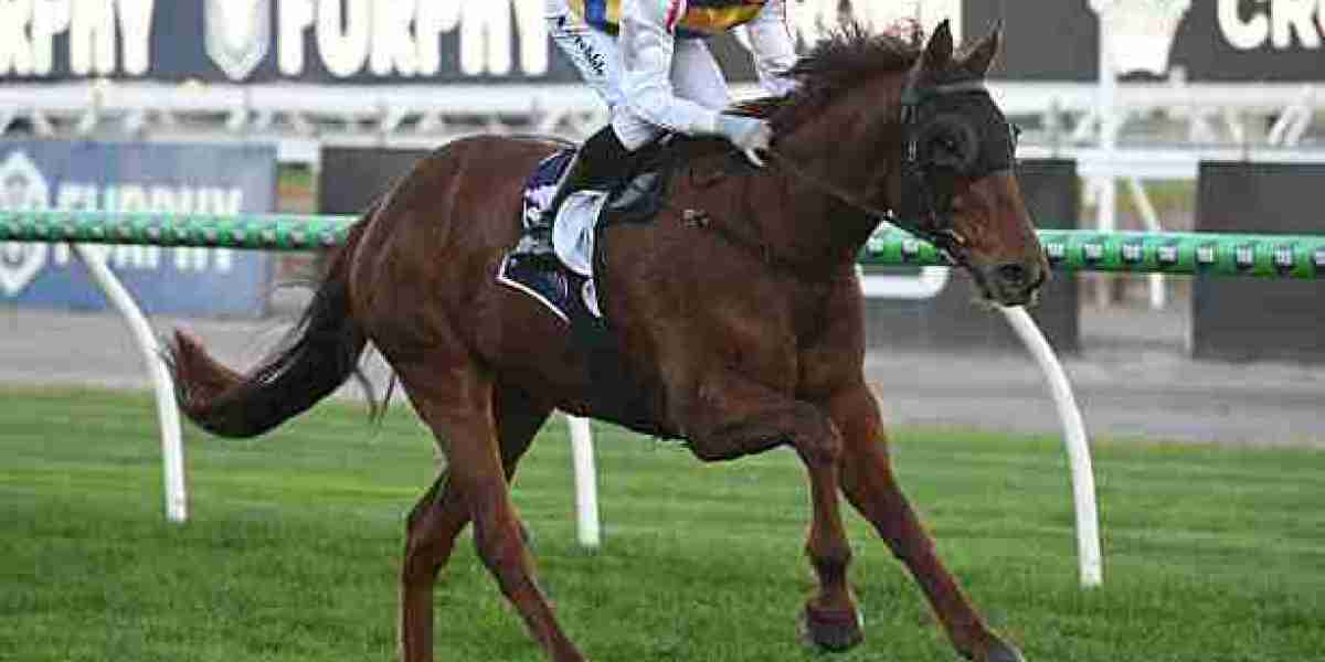 How to Get the Best Caulfield Racing Tips Result with Smart Betting Strategies