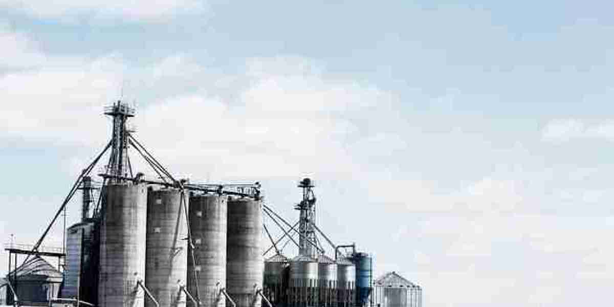 Petroleum Coke Market Size, Share, Forecast 2031