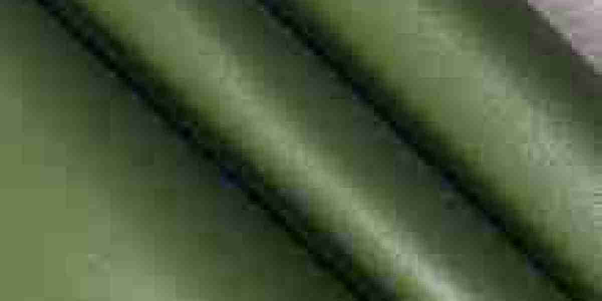 Bio Based Leather Market future outlook shaped by global environmental sustainability initiatives