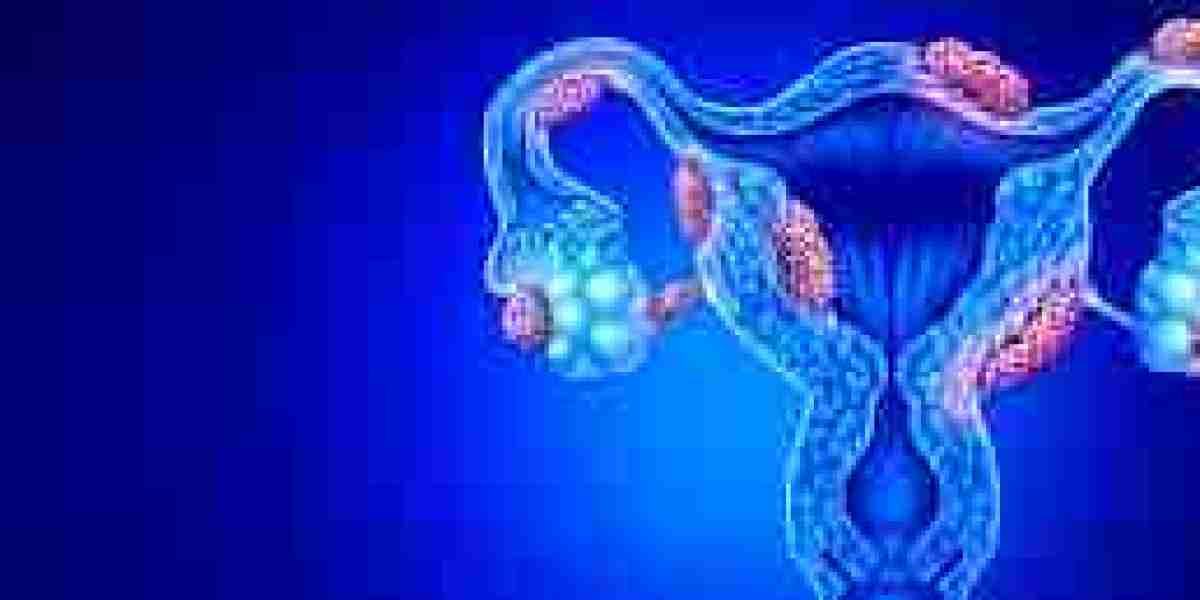 Uterine Fibroid Treatment Market Expands with Technological Innovation in Surgical and Hormonal Treatment Options