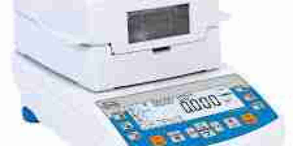 MOISTURE ANALYSER MARKET: IN-DEPTH OVERVIEW OF CURRENT STATUS AND INDUSTRY STRUCTURE