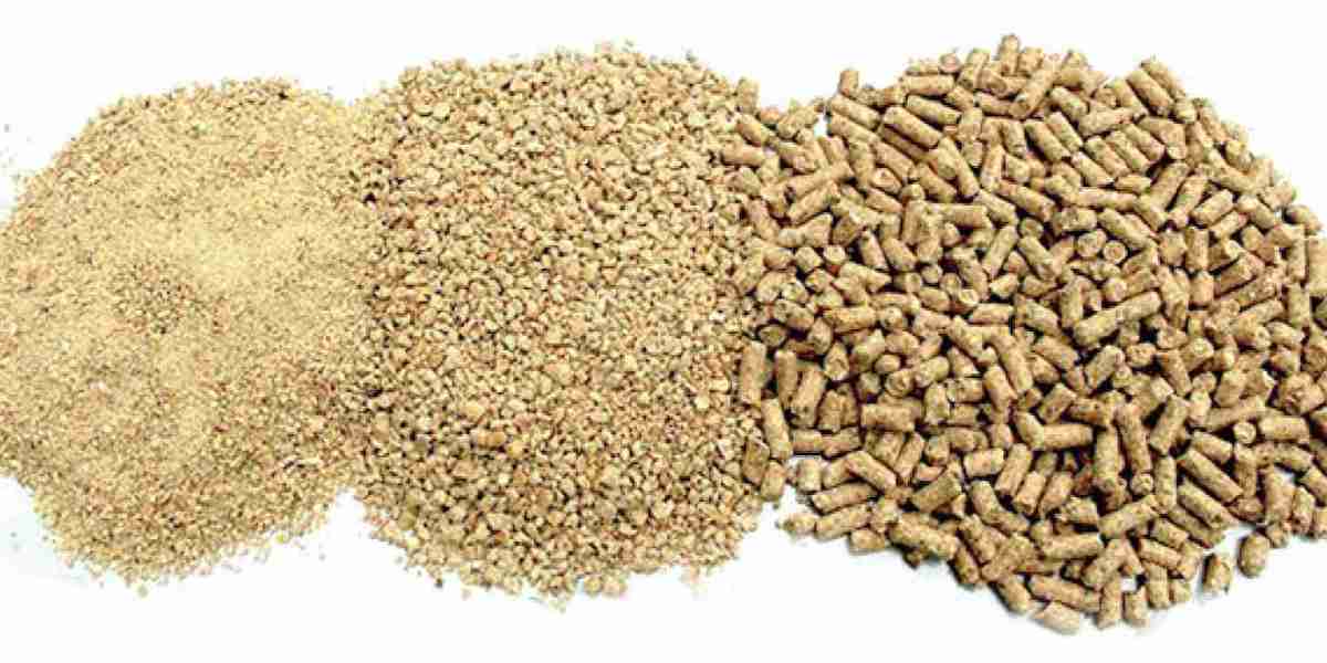 Animal Feed Antioxidants Market Potential Accelerates Due to Innovation in Nutritional Feed Additives