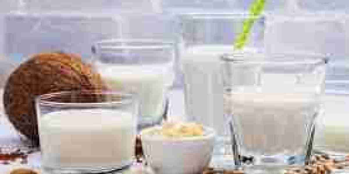 Dairy Alternatives Market Expanding Through Retail Innovations and E-Commerce Distribution Strategies