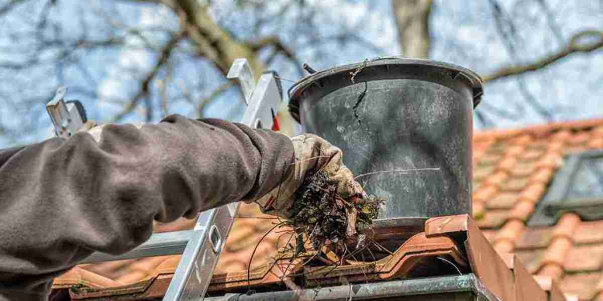 Looking for a Reliable Gutter Cleaning Service in Winnipeg?