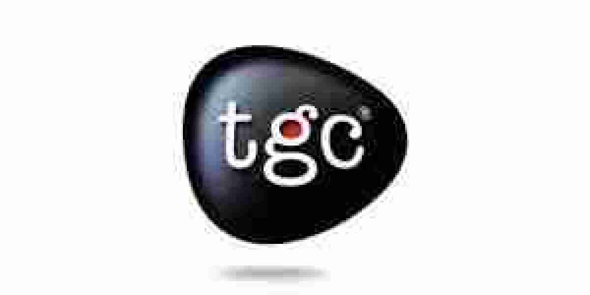 Learn Photoshop, Illustrator & More – Graphic Design Course in Dehradun | TGC Dehradun