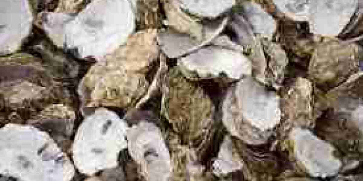 Oyster Shell Calcium Market supply chains improve through local shell sourcing