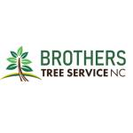 brotherstreeservice