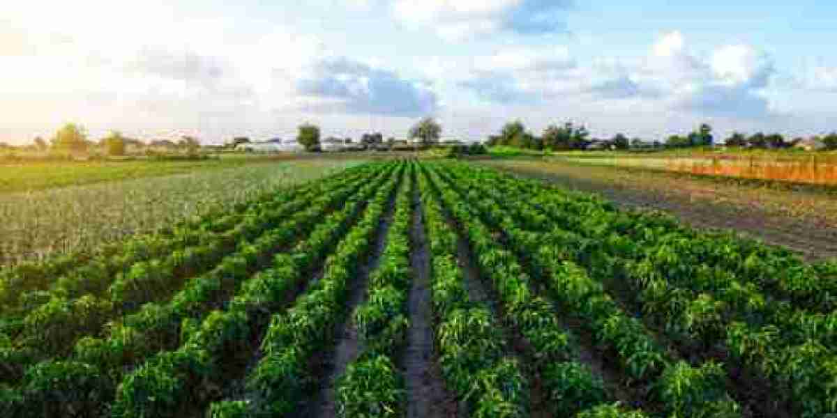 Bionematicides Market Potential Driven by Sustainable Agriculture, Organic Demand, and Biological Innovation Trends
