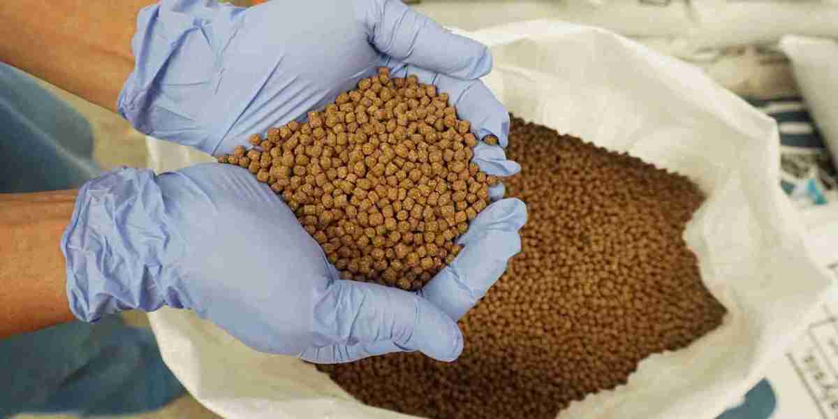 Aquaculture Feed Market Opportunities Expand with Functional Ingredients and Precision Nutrition Solutions