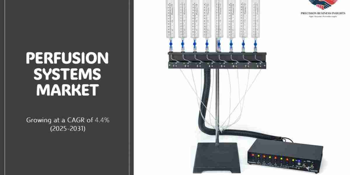 Perfusion Systems Market Size, Share, Industry Growth Report 2031