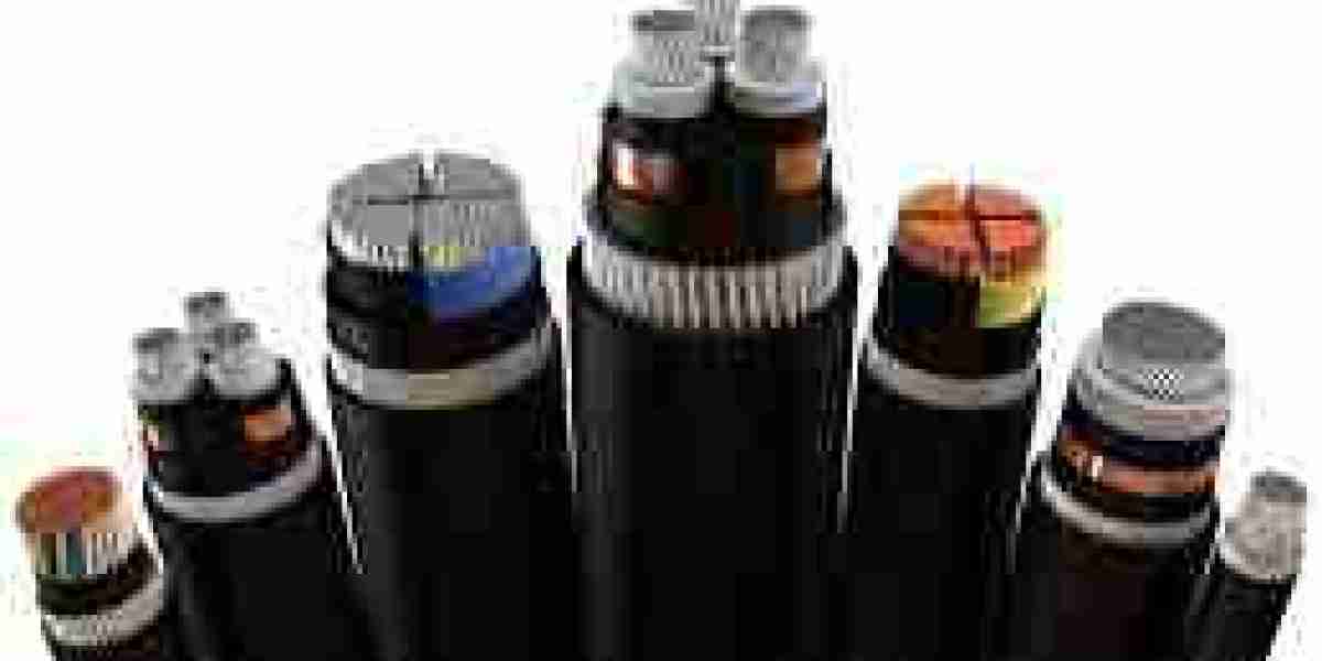 Low Voltage Cable Market Development Driven by Infrastructure and Energy Expansion