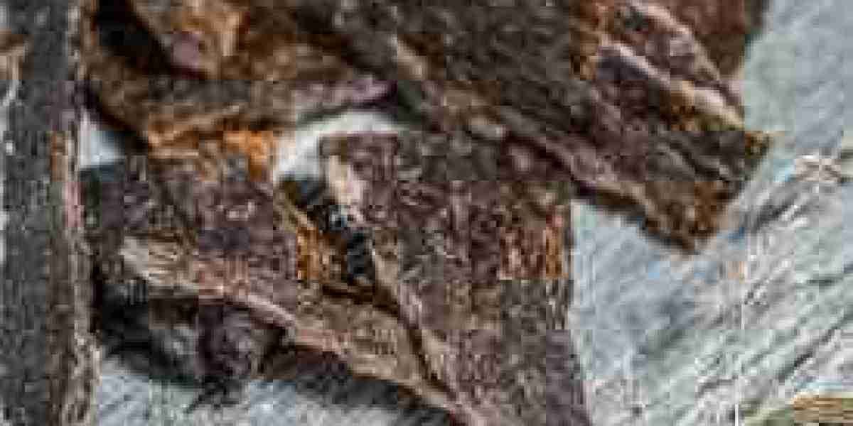 Grassfed Jerky Market Demand Evolution by Product Type and Packaging Studied