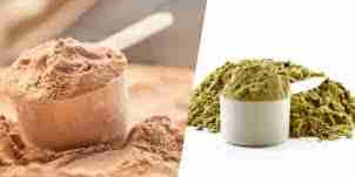 Vegan Protein Powder Market Clean Labeling Preferences Shaping Future Product Development