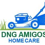 DNG Amigoshc