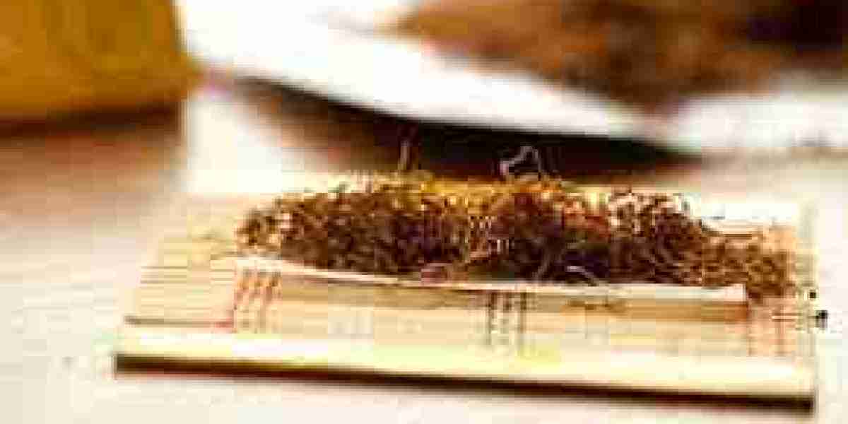 Roll-Your-Own Tobacco Products Market Development Driven by Affordability and Innovation
