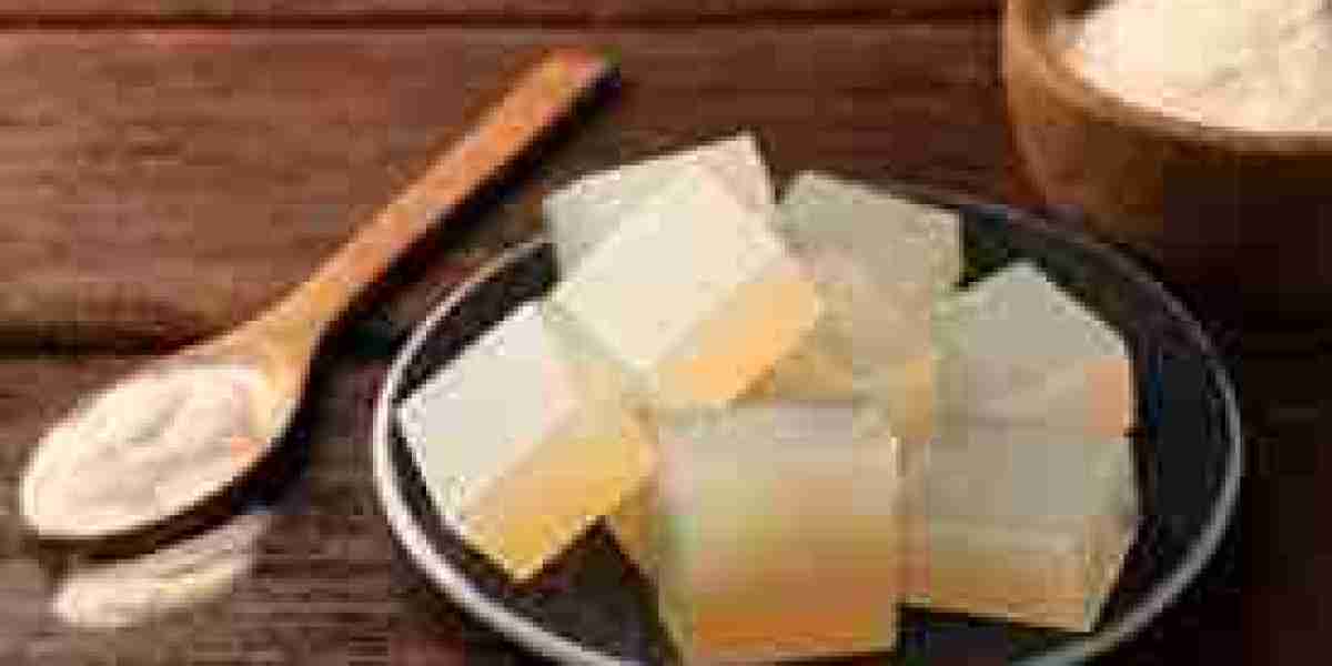 Gelatin Substitutes Market Development Driven by Plant-Based Ingredient Innovation