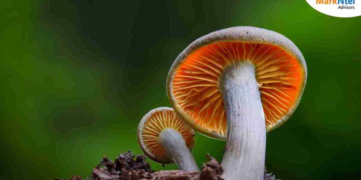 Mushroom Market in Indonesia: Size, Share, and Analysis, 2030