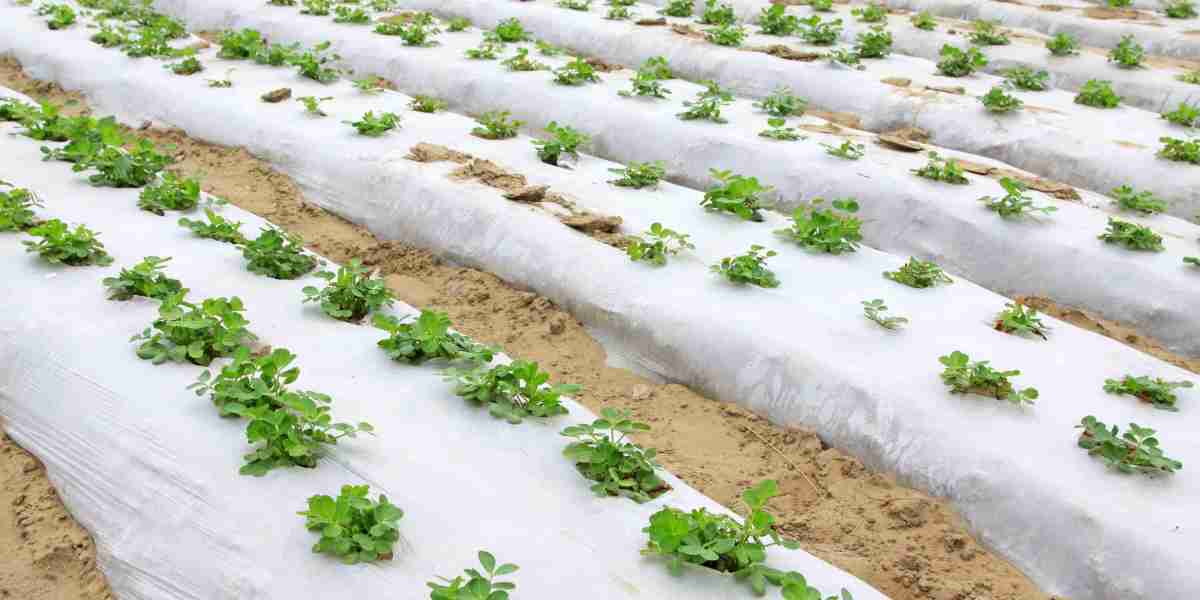 Agricultural Films Market Scenario Reflects Rising Demand for Smart Farming and Environmental Sustainability Solutions