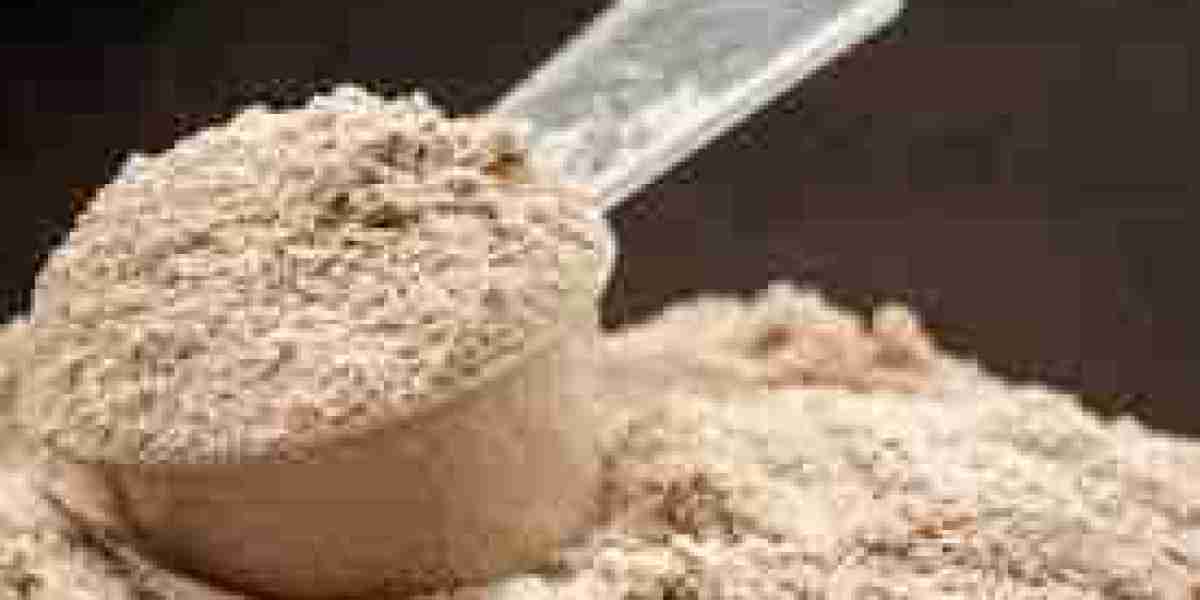 Hexane-free Protein Market Projected to Benefit from Rapid Vegan Protein Segment Penetration