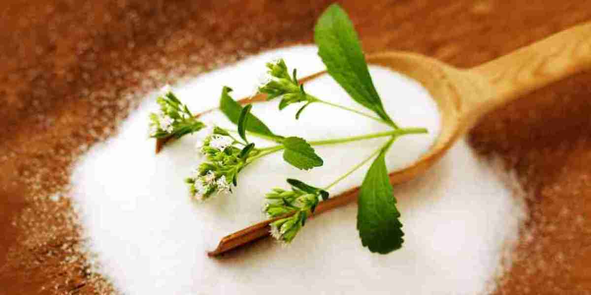 Stevia Extract Market Witnesses Rising Applications Across Pharmaceuticals and Personal Care Segments