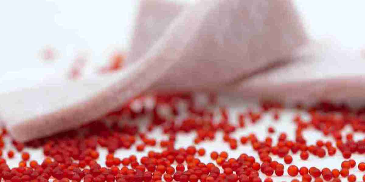 Encapsulated Flavours Market Scenario: Evolving Dynamics Across Food, Beverage, and Nutraceutical Sectors