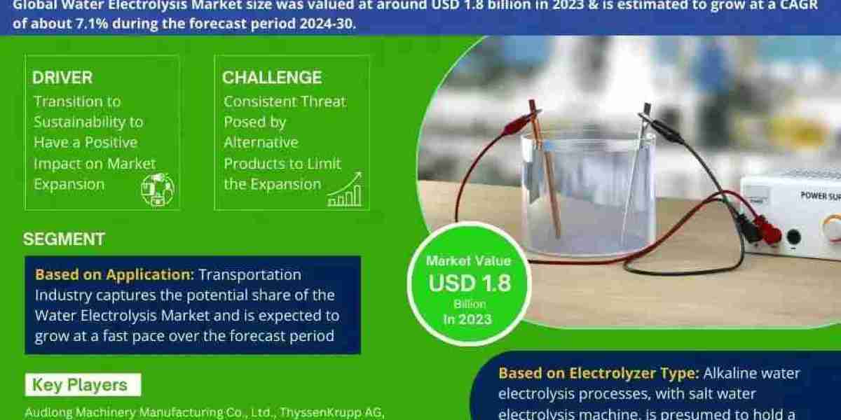 Global Water Electrolysis Market Growth, Size & Forecast 2024-2030
