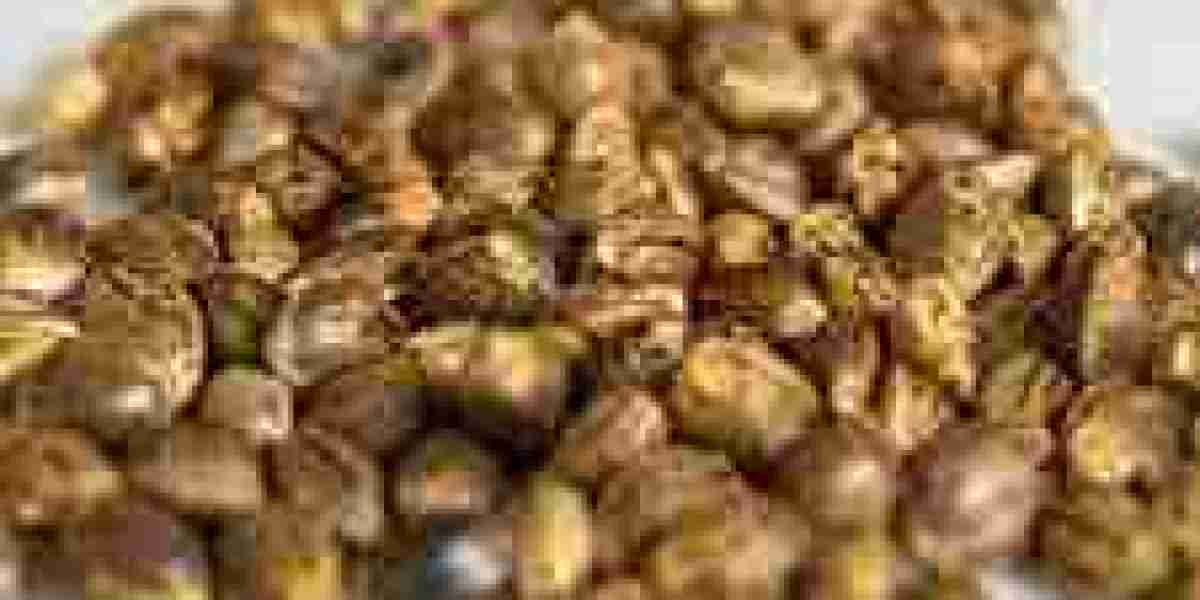Cannabis Seeds Market Forecast Points to Robust Growth Amid Regulatory and Biotech Advancements