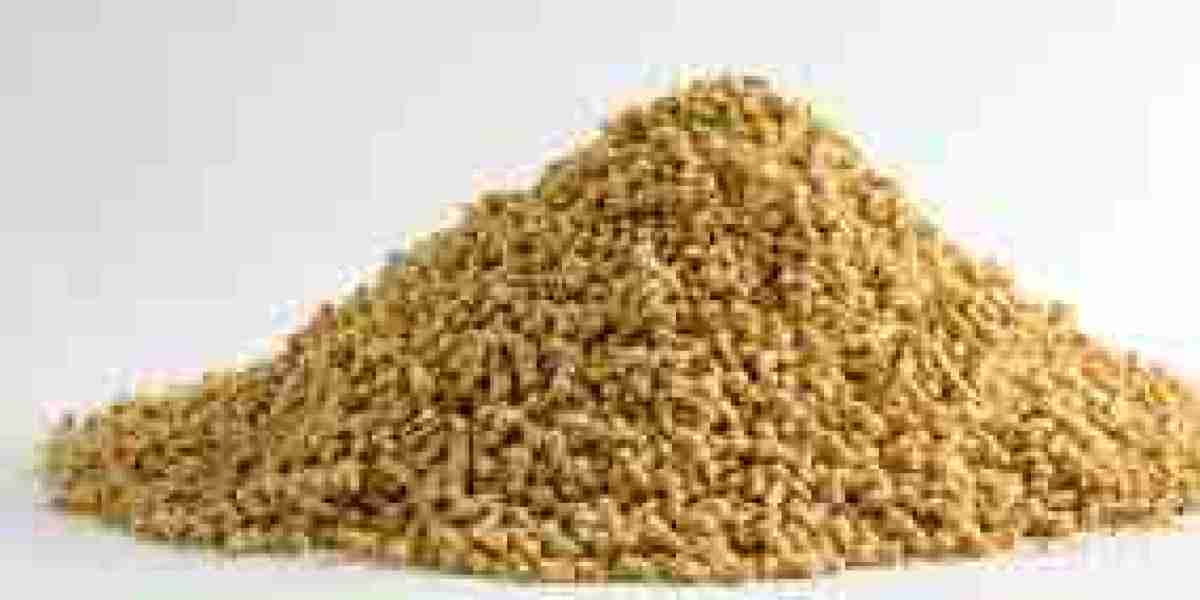 Poultry Feed Market Development: Innovation, Sustainability, and Global Growth Prospects
