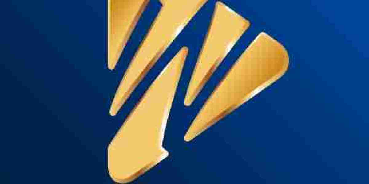 Wplay: A Retrospective on the Rise and Fall of an Early 2000s Online Gaming Pioneer