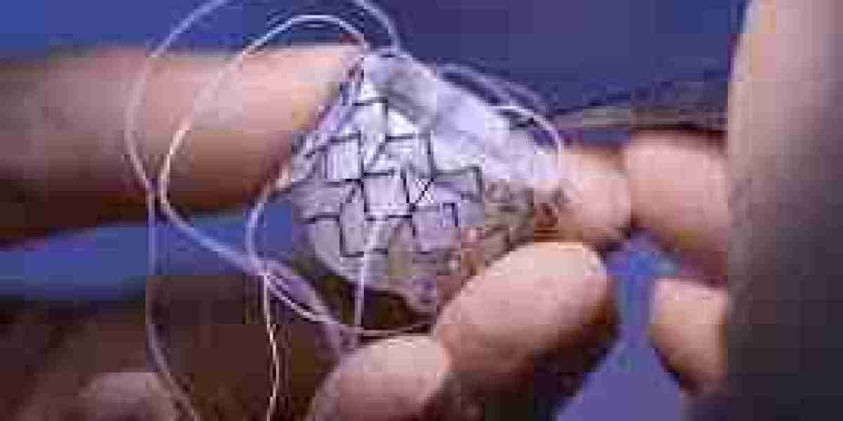 Heart Valve Devices Market Competitive Analysis Highlights Key Players and Innovations