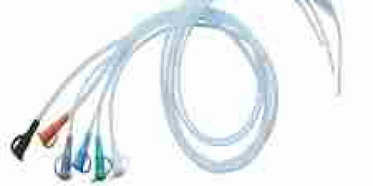 Feeding Tubes Market Development Accelerates with Innovation and Global Health Demands