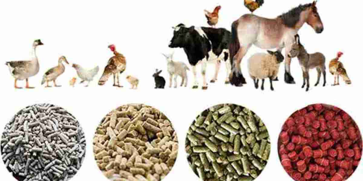 Animal Feed Additives Market Developments Focused on Health, Performance, and Sustainability Goals