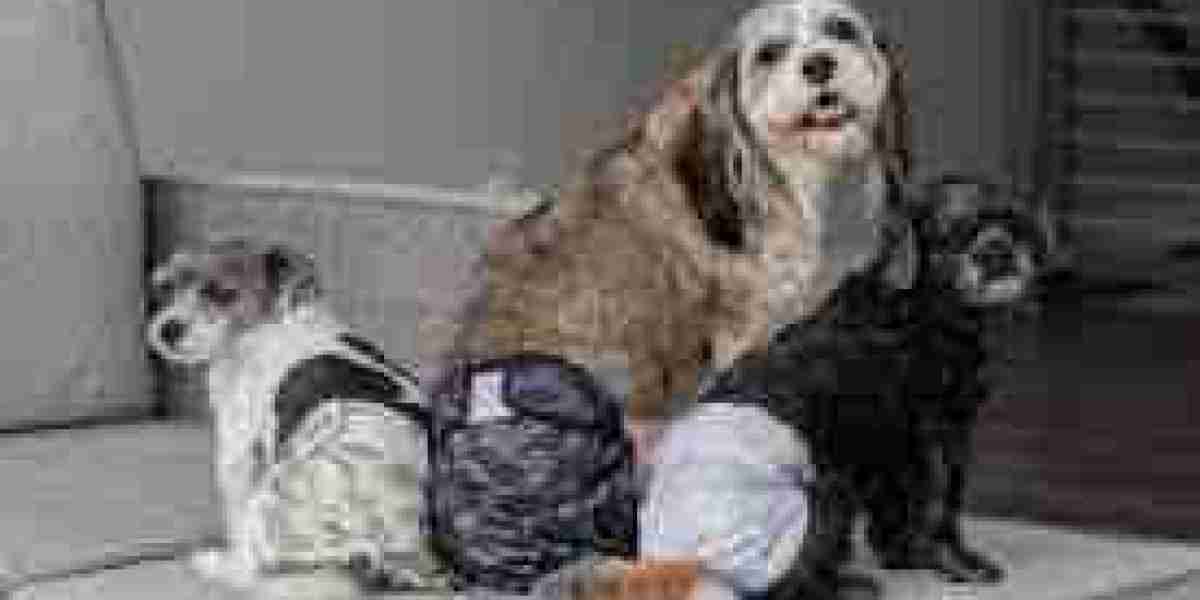 Pet Diaper Market eco-friendly and biodegradable options gaining strong momentum among consumers