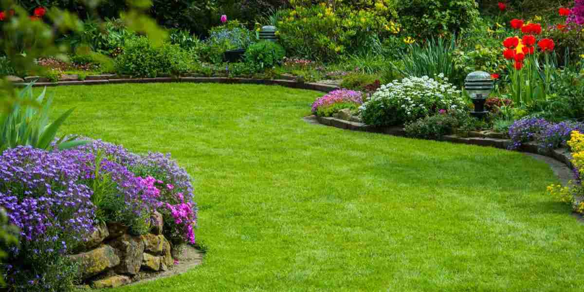 Tree Removal: When It’s Necessary and What to Expect