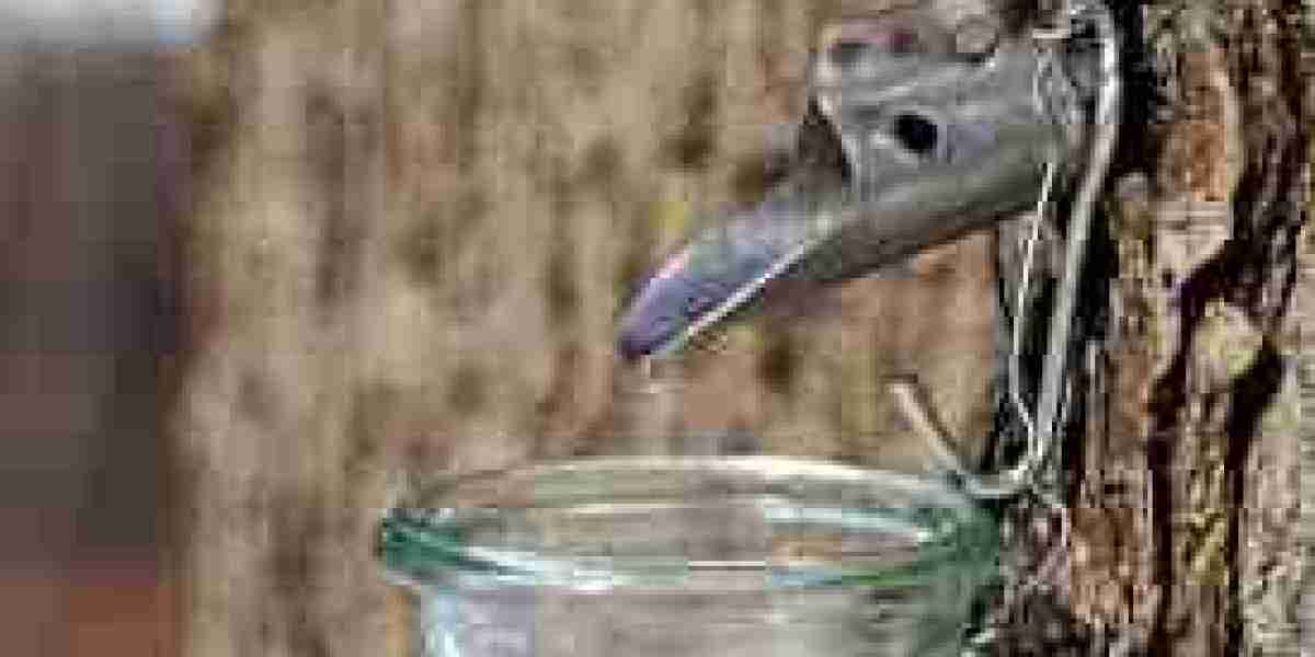 Maple Water Market branding strategies focused on sustainability and health benefits