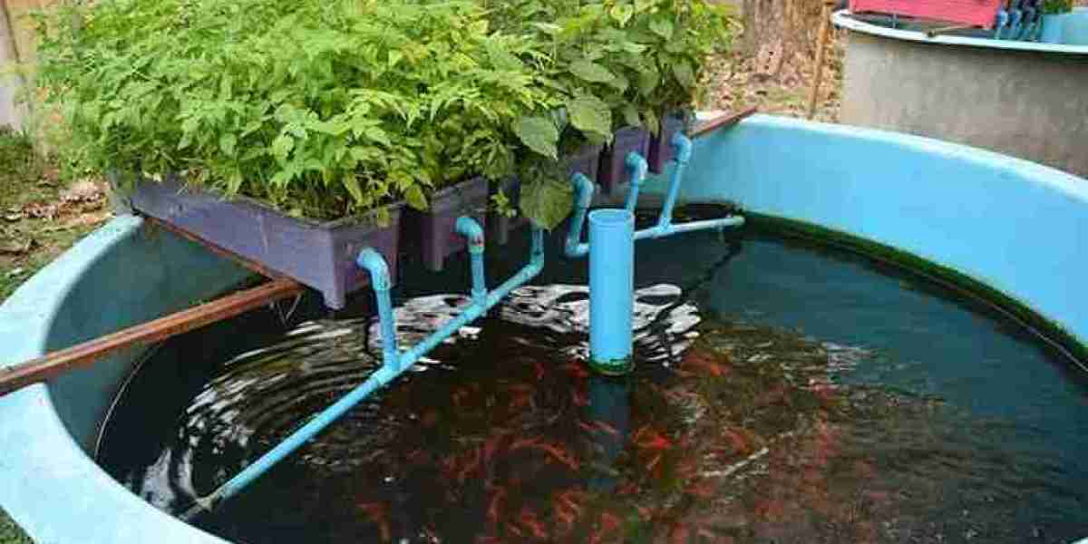 Aquaponics Market Scenario Reflects Growing Global Shift Toward Sustainable and Climate-Resilient Agriculture Solutions