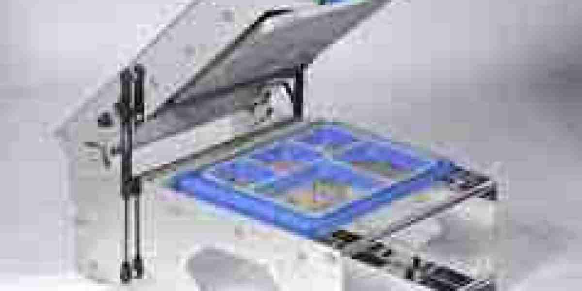Tray Sealing Machines Market Government Support