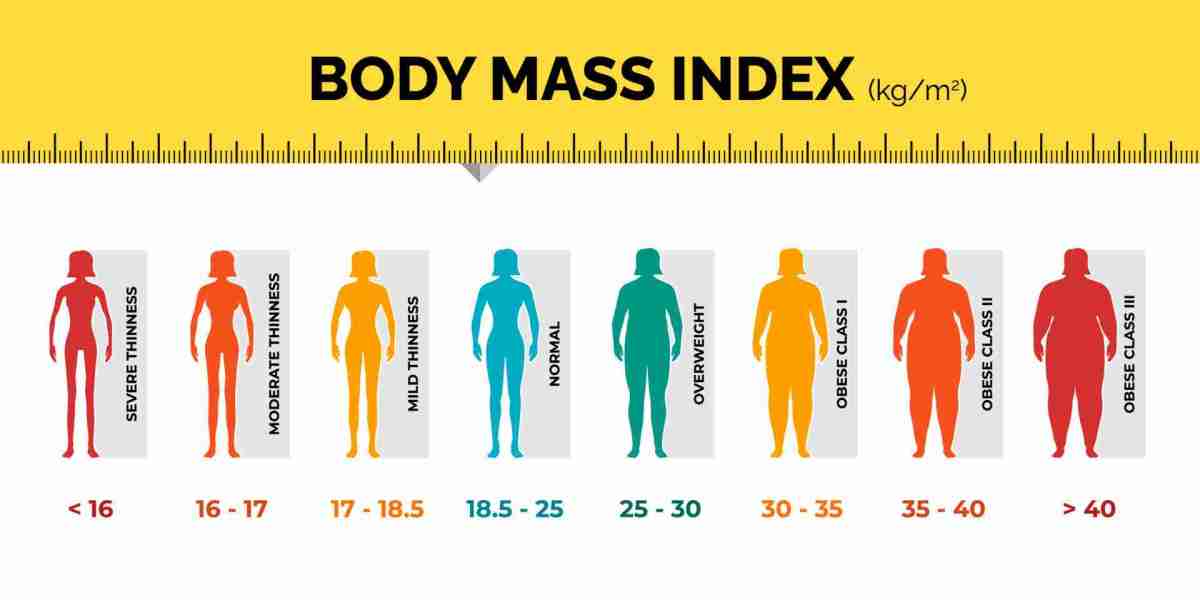 Unlocking Your Health Potential: Why a BMI Calculator Is a Must-Have Tool