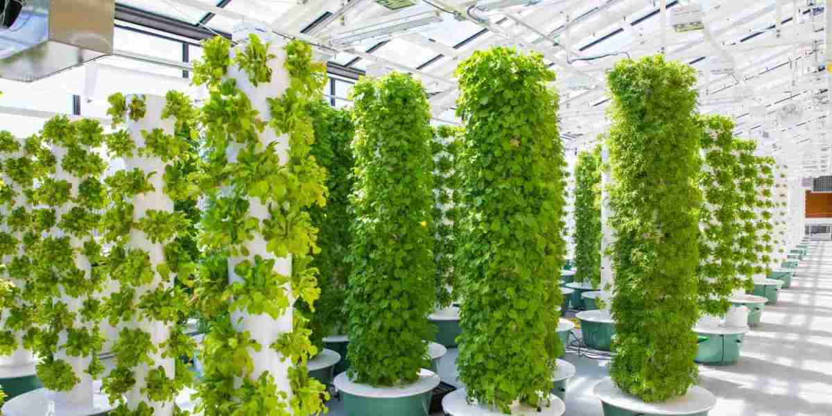 Aeroponics Market Inhibitors Include High Setup Costs, Technical Complexity, and Limited Crop Versatility