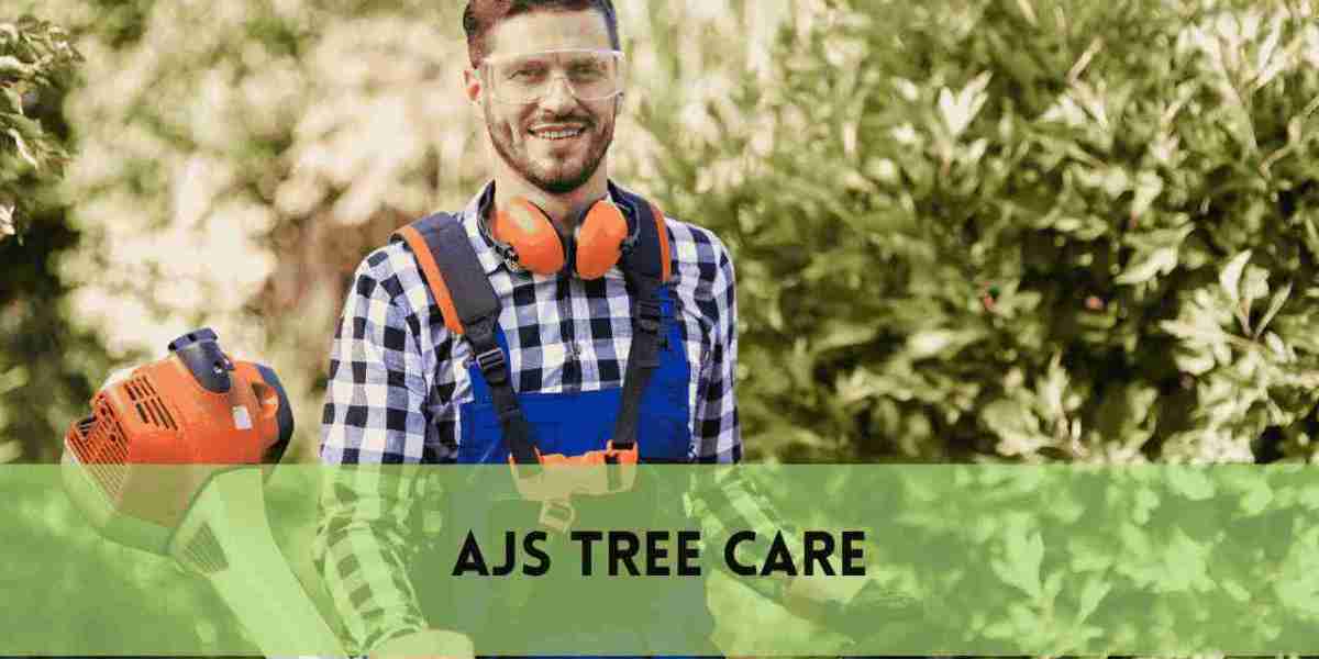 Affordable Tree Removal & Cheap Tree Trimming Service | Safe & Budget-Friendly Yard Care