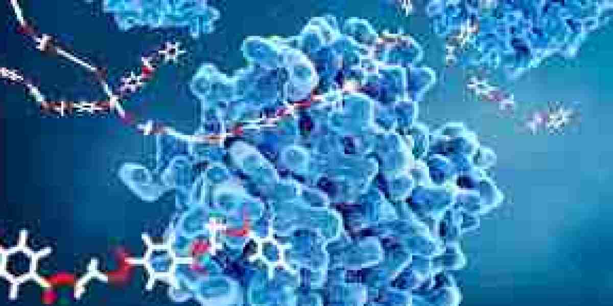 Lactase Market Development: Advancements in Enzyme Solutions and Consumer Nutrition Needs