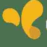 YouCan Biz