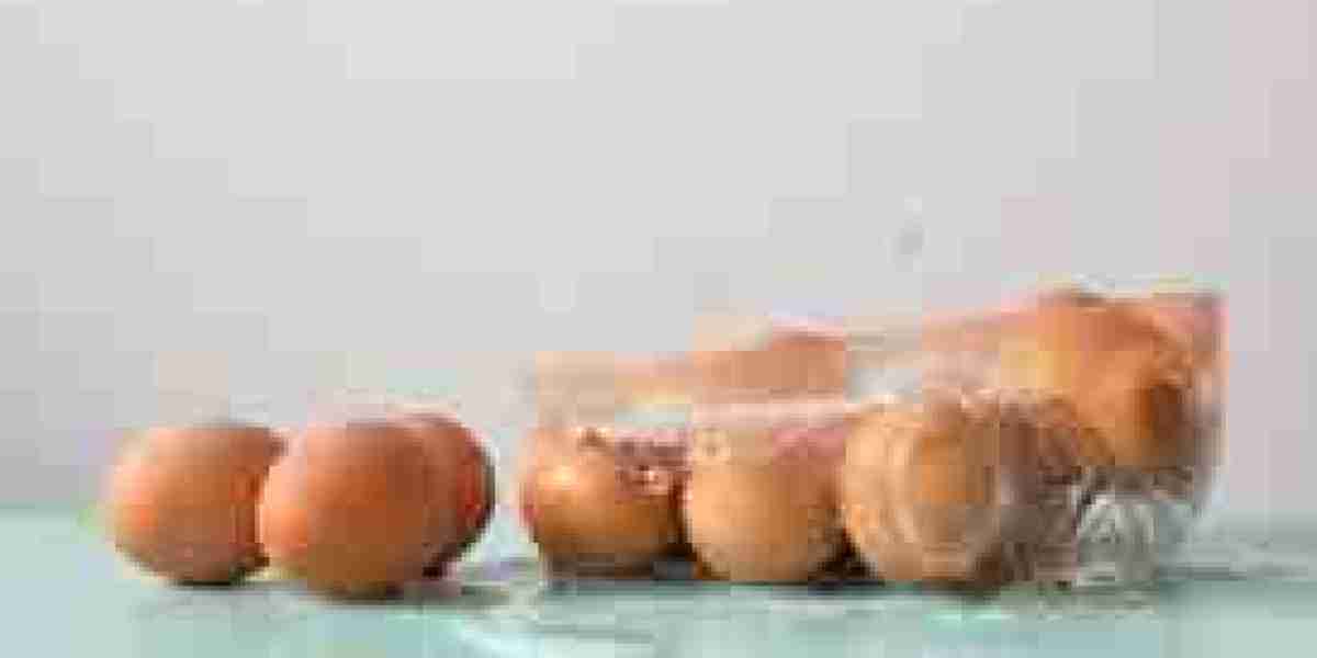 Frozen Eggs Market E-commerce Channels Boosting Global Sales Performance Sharply