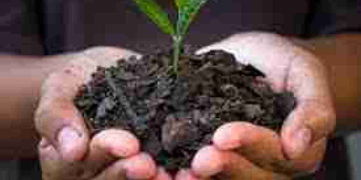 Biochar Market fueling growth with increasing focus on carbon credit trading programs